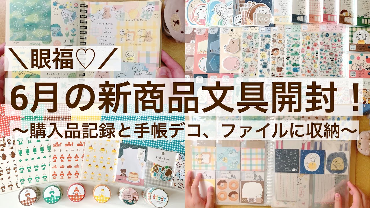 【購入品・作業動画】6月の文具購入品を開封して記録する｜手帳デコ｜文具収納｜mizutamaさん｜古川紙工 49/100