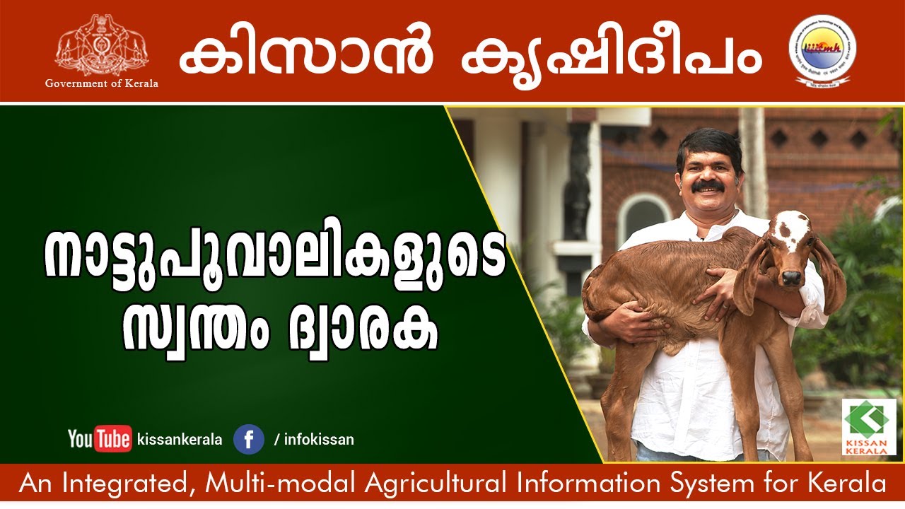 A model farm for raising indigenous cows