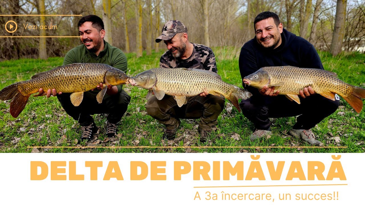 Crapi mari de primavara pe Bratul Tataru! Pescuit la crap in Delta Dunarii!