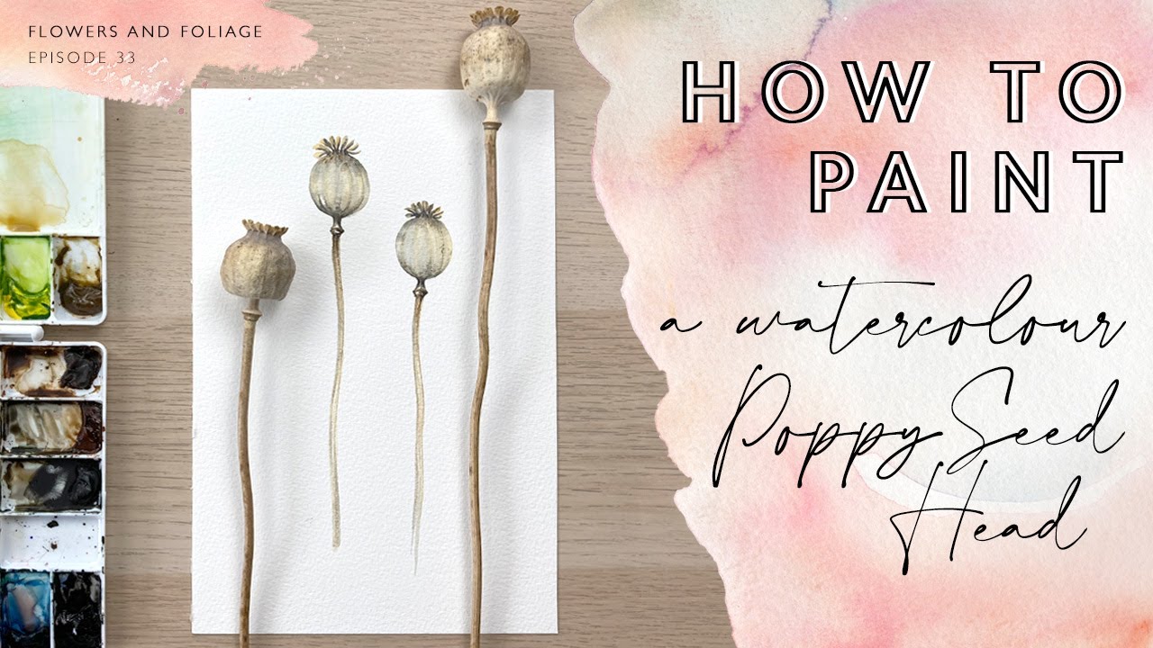 How To Paint A Watercolour Poppy Seed Head
