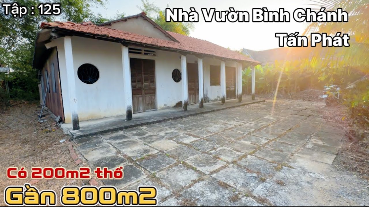 Nhà Vườn Bình Chánh Tấn Phát - Bán Rẻ Nhà Vườn Gần 800m2 - Tổng 1799. 