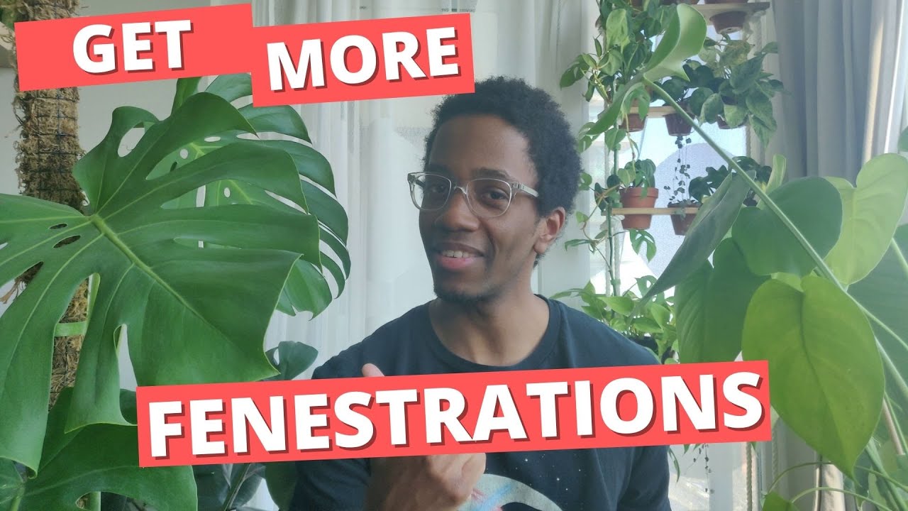 3 simple steps to get more Monstera fenestrations