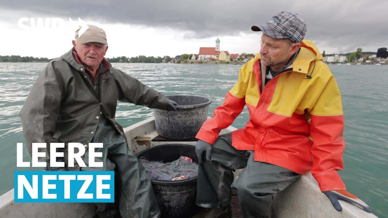 Frust und &Auml;rger bei den Bodenseefischern | Zur Sache! Baden-W&uuml;rttemberg