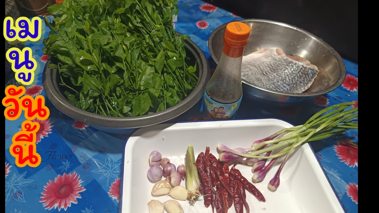 🔴แกงผักหวานป่า 🌶️ #food #cooking #อาหาร #อร่อย #มนต์โอมชาแนล #ป้าแต๋นชาแนล