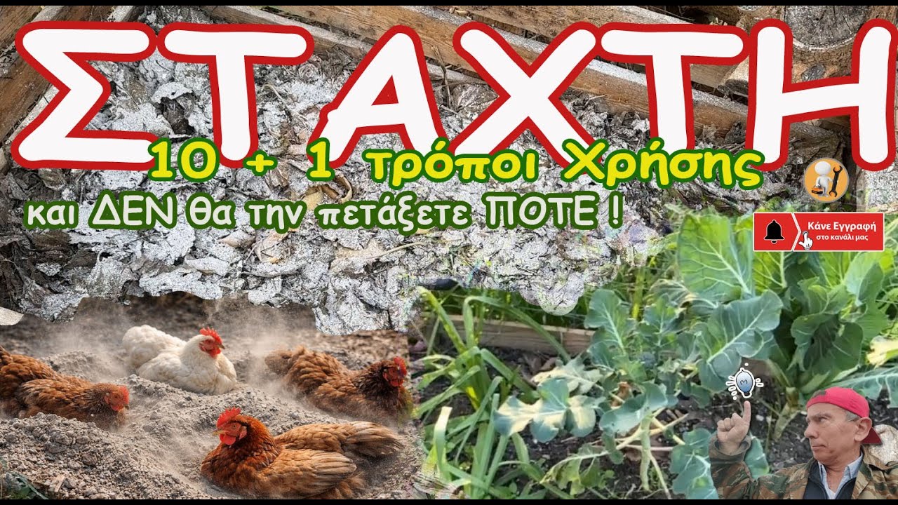 𝝨𝞃ά𝞆𝞃𝝶: 𝟙𝟘+𝟙  𝛕𝛒ό𝛑𝛐𝛊 𝛄𝛊𝛂 𝛘𝛒ή𝛔𝛈 𝛕𝛈ς - 𝝙𝝚𝝢 𝝝𝝖 𝞃𝝶𝝼 𝝿𝝴𝞃ά𝝽𝝴𝞃𝝴 𝝥𝝤𝝩𝝚 𝝽𝝰𝝼ά ❗