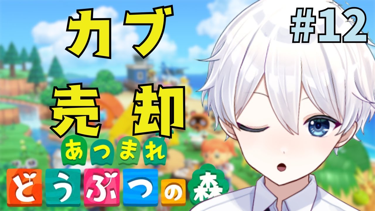 【#あつまれどうぶつの森/#shorts 】コメント大歓迎！待ちに待った初カブ売却！ #12 【新人Vtuber/天星ソラ】