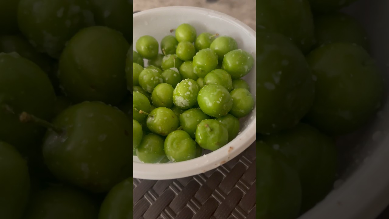 Spring fruit amazing salty green plums #eating #explorepage #explore #india #comedy #funny #lol