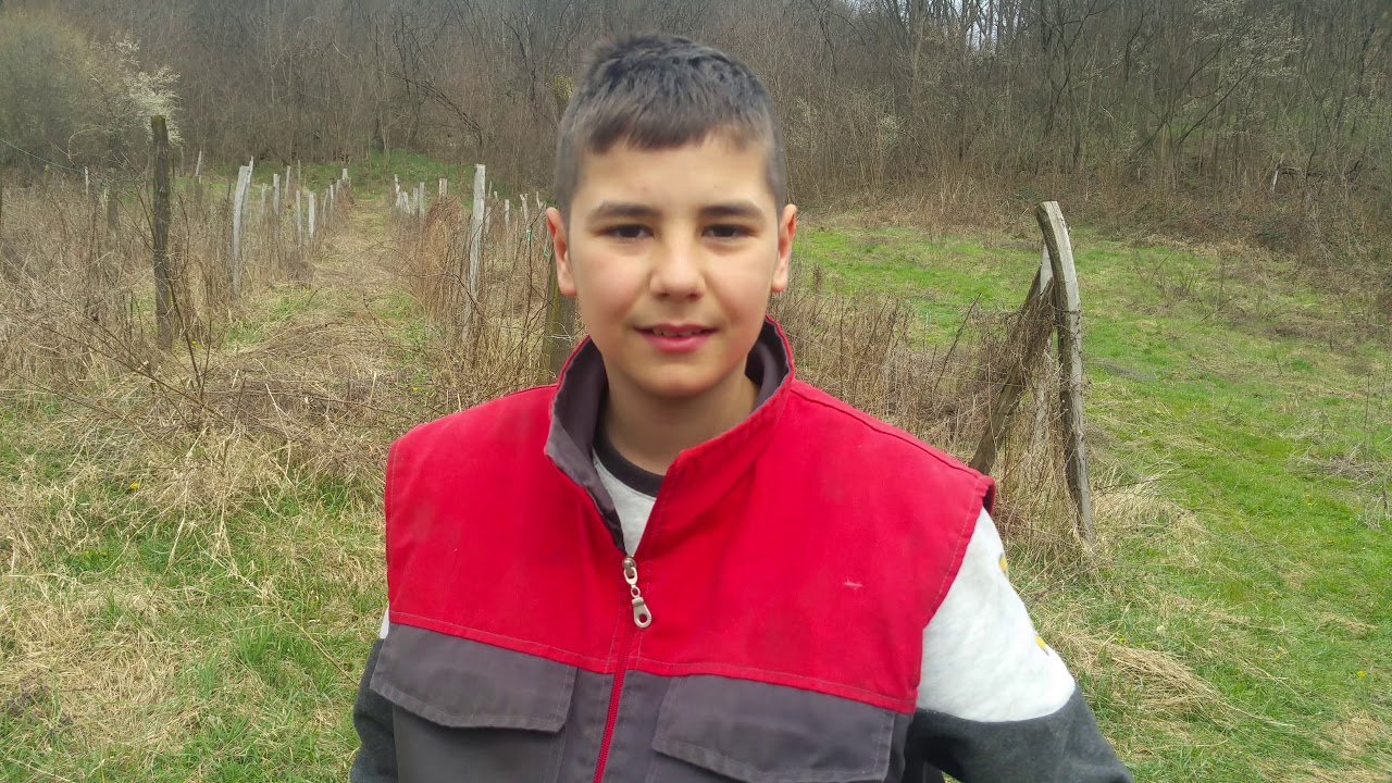 Voznja tomos T14