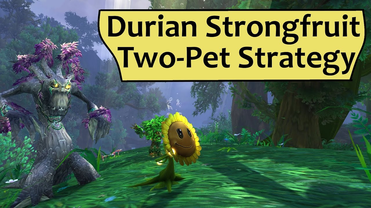 Durian Strongfruit - Two Pet Strategy for Training with Durian