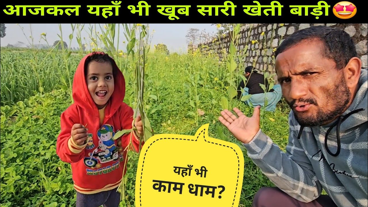 यहाँ भी आजकल बहुत अच्छी खेती बाड़ी🤩Daily Lifestyle Vlog by. @yashpahadiofficial  
