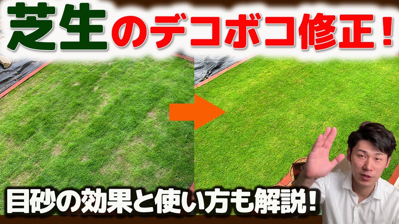 【芝生】デコボコ修正と目砂の効能【不陸修正・DIY・ガーデニング・土壌改善】