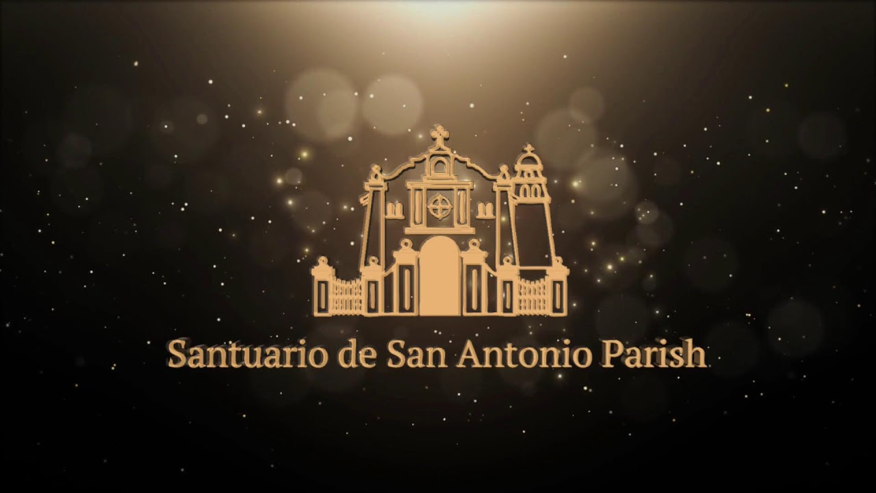 Live || Sunday, February 15, 2026 | 7:45 am - Celebration of the Holy Mass.