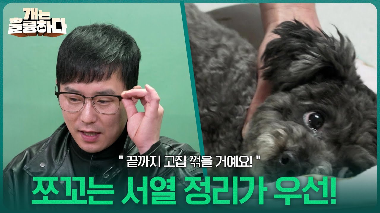 ＂끝까지 고집 꺾을 거예요!＂쪼꼬는 지금 서열 정리가 우선!  [개는 훌륭하다] | KBS 260316 방송