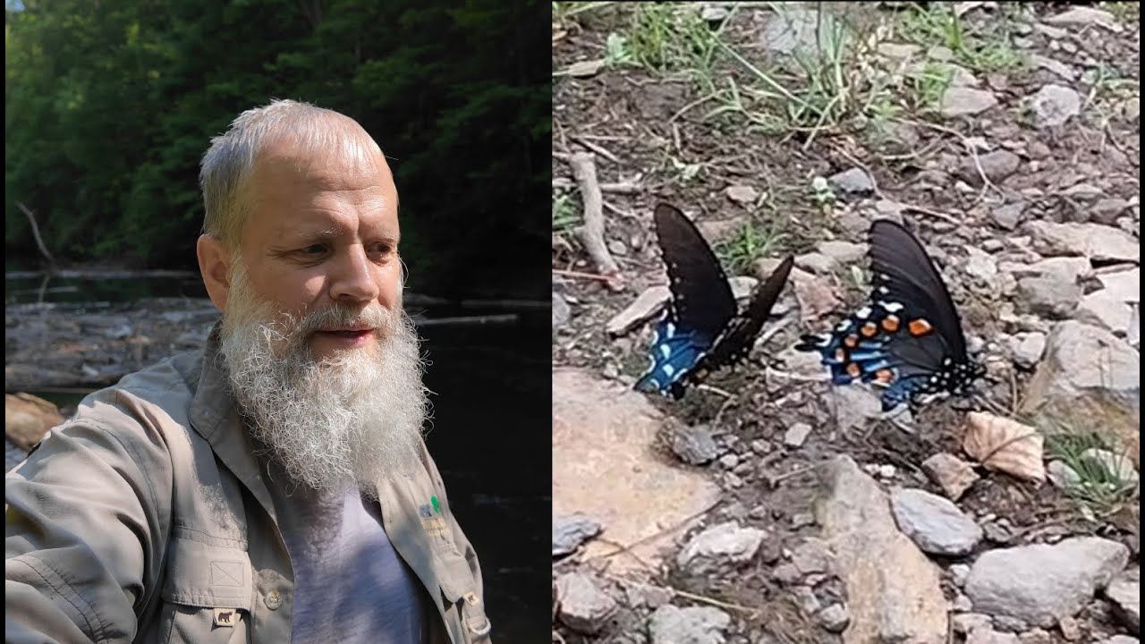 Ep. 49 Noland Creek - 2025 July 8 (Sylvan Reflections)
