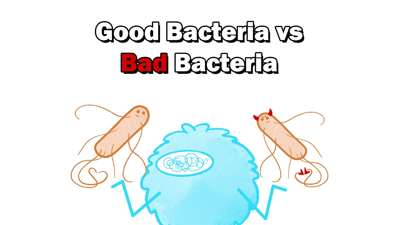 Why Doesn't Our Immune System Kill 