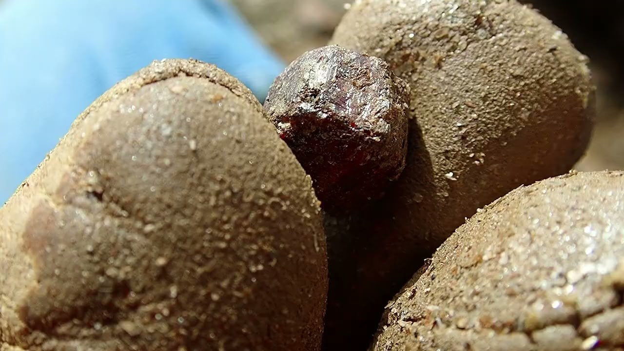 Minéraux - A la recherche des grenats et des staurolites de la côte d'Azur .