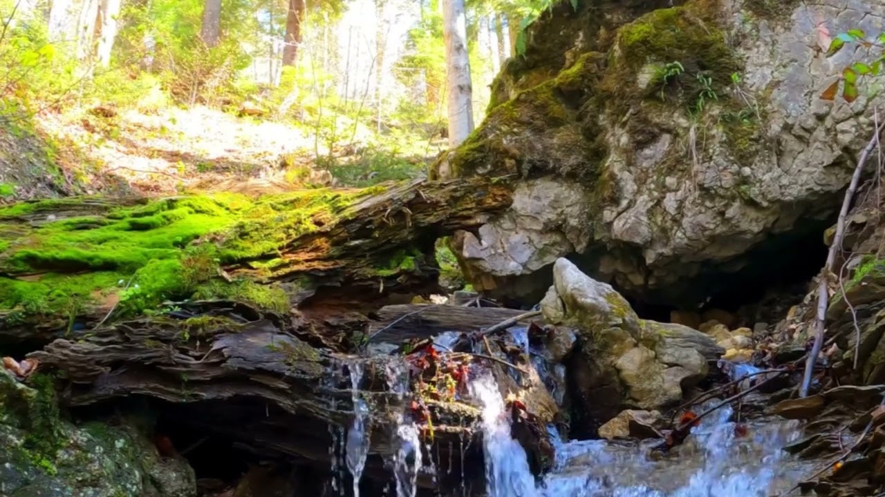 #nature #naturesvoice for calming ❤️‍🩹