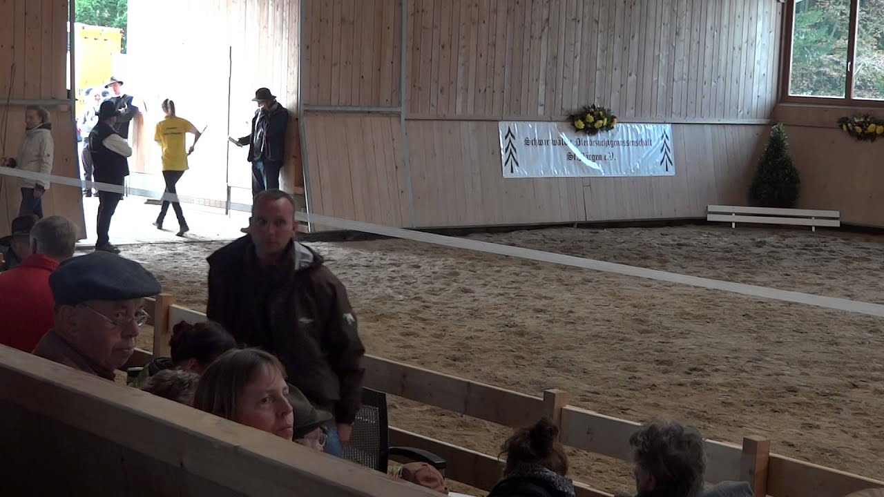 Hengstk&ouml;rung 2014 - Schwarzw&auml;lder Kaltblut - An der Hand und Freilaufen Teil 3