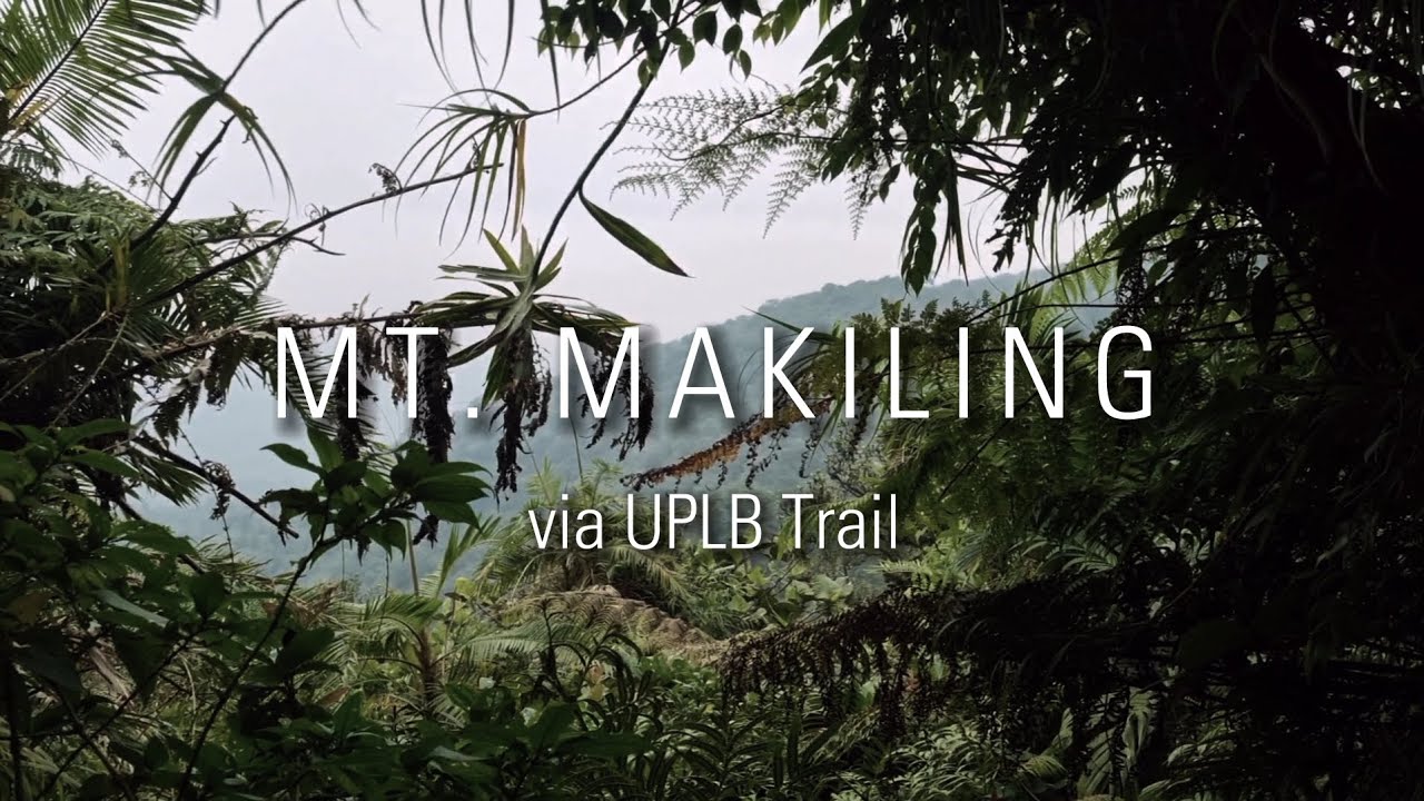 The Mystical Forest of Mount Makiling | Day Hike via UPLB Trail