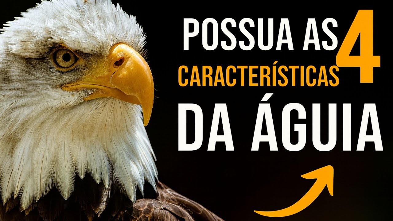 A MENTALIDADE QUE TE FAZ SUBIR MESMO QUANDO NINGUÉM ACREDITA