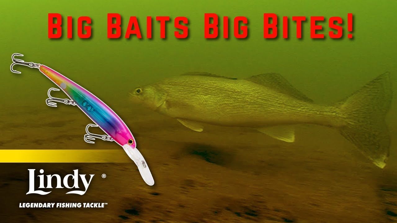 Summertime Trolling Secrets for Open Water Walleye - Fish Ed