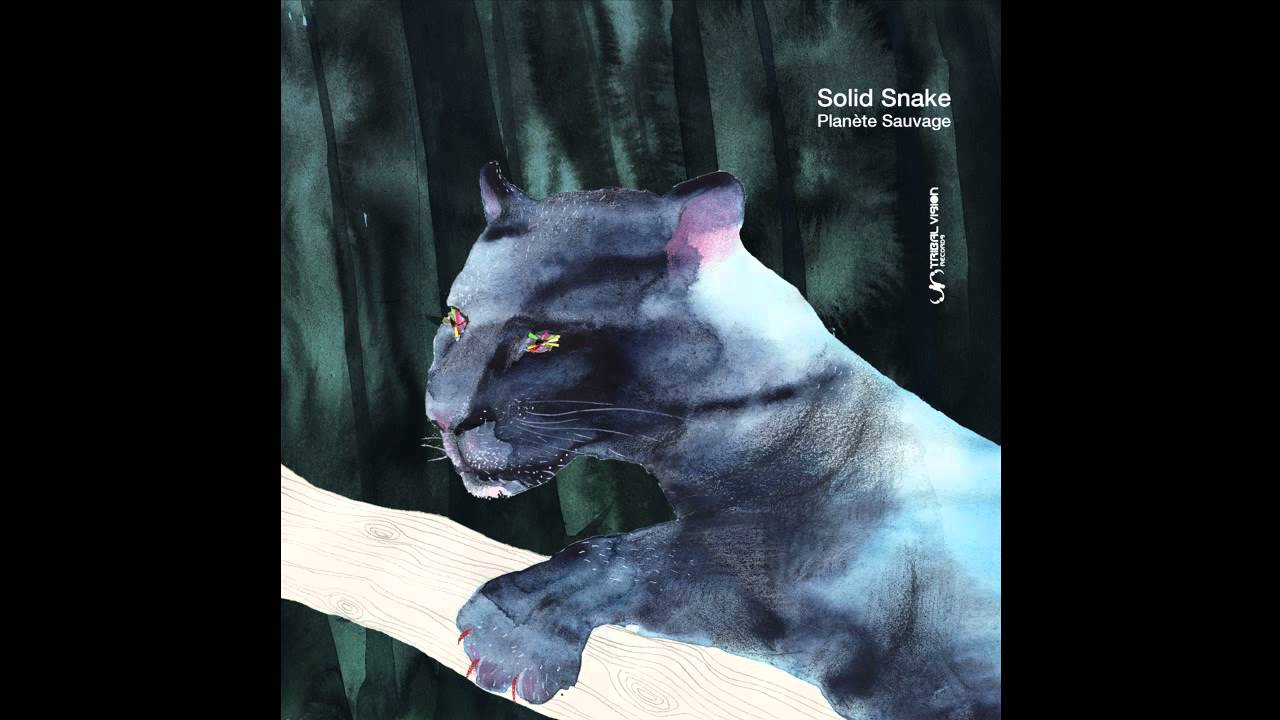 [TVRD123]  Solid Snake -  Planète Sauvage (Album samples)