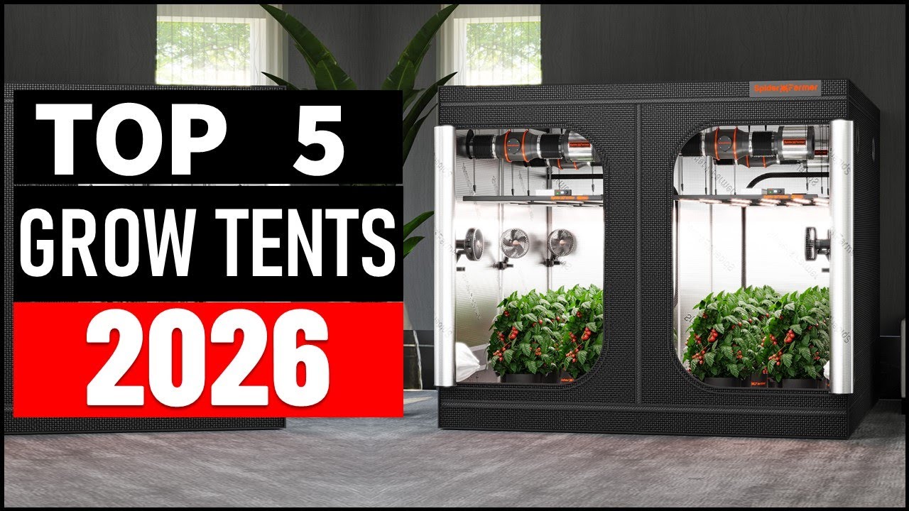 Top 5 Best Grow Tents in 2026