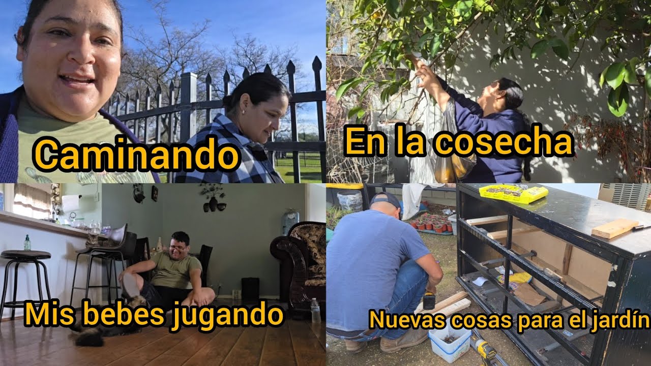 Empezando con la caminada, y proyectos nuevos para jardín