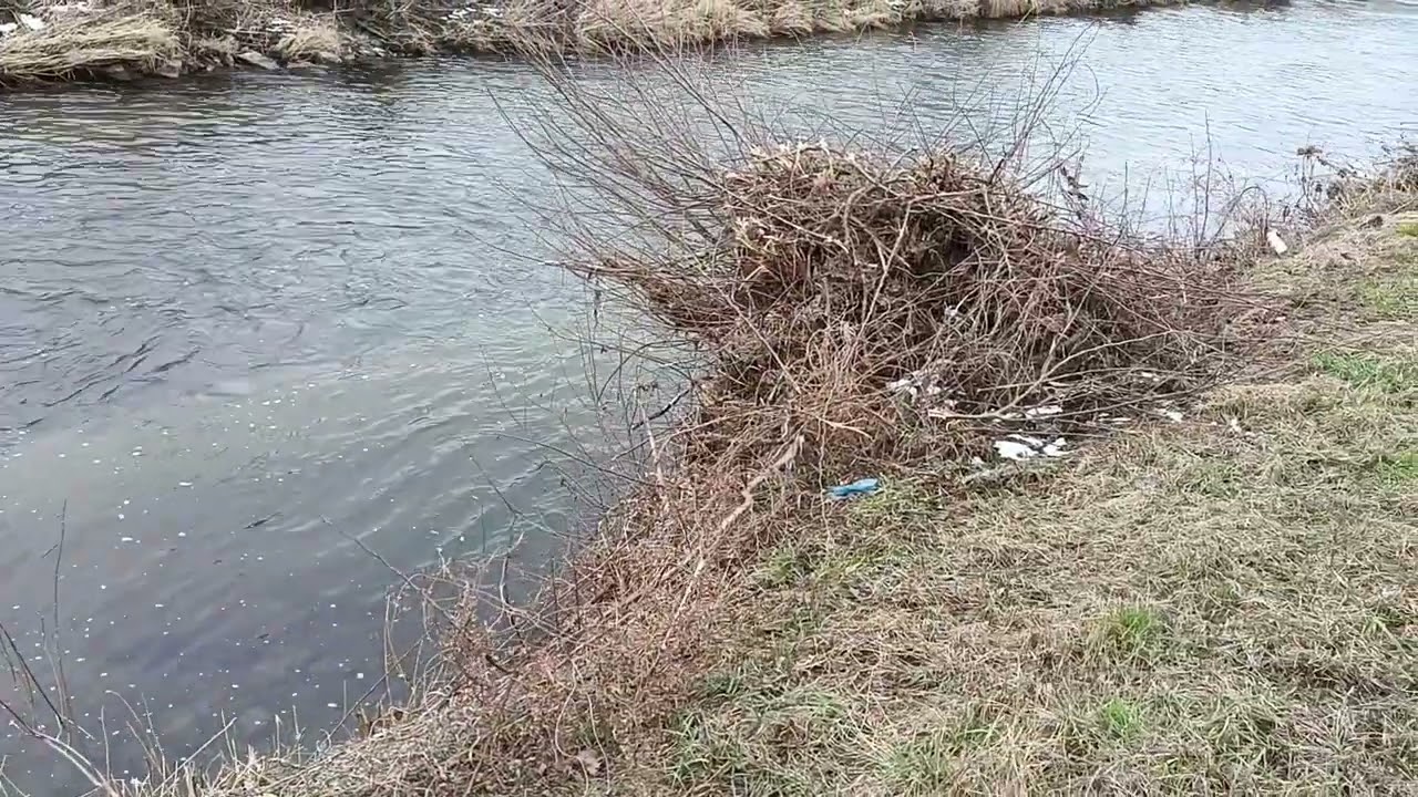 Nitra trať 