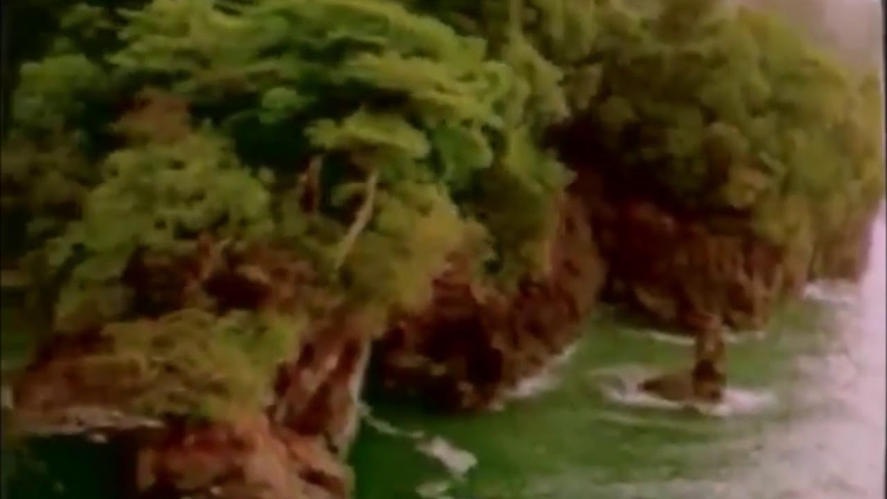Autopromo Telecaribe Colombia 1998