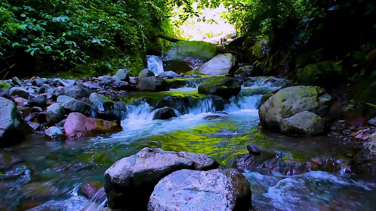 River Sounds to Calm Your Thoughts | Deep Sleep Natural Water Ambience