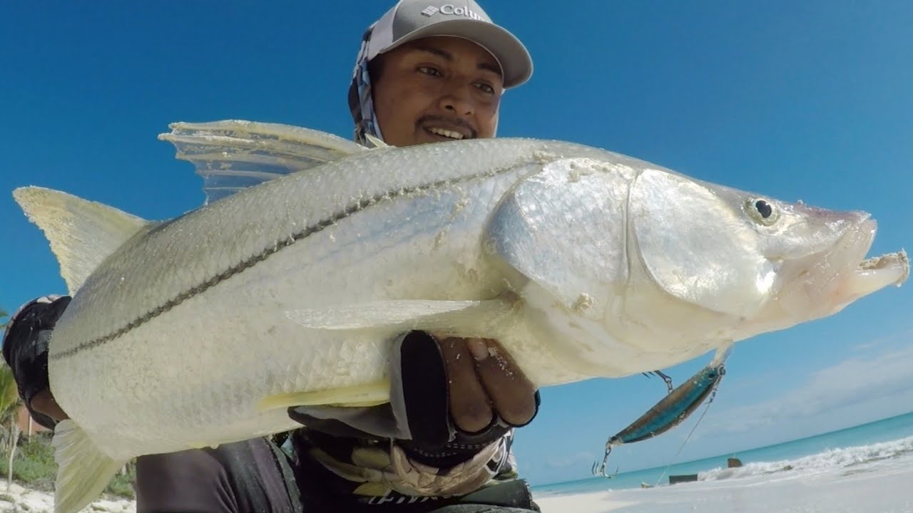 #pesca de orilla con equipo #baitcasting ,#robalo rompe mi RÉCORD.