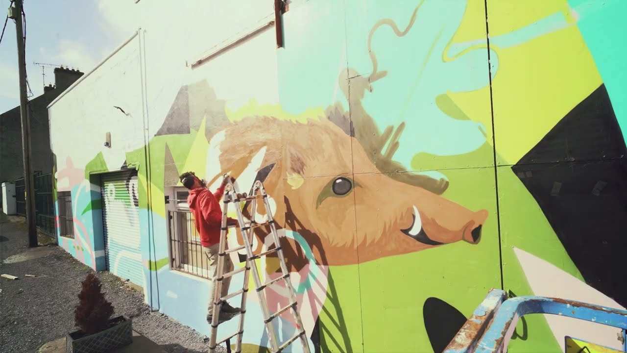 Bailieborough Mural Art Project, Co. Cavan, Ireland
