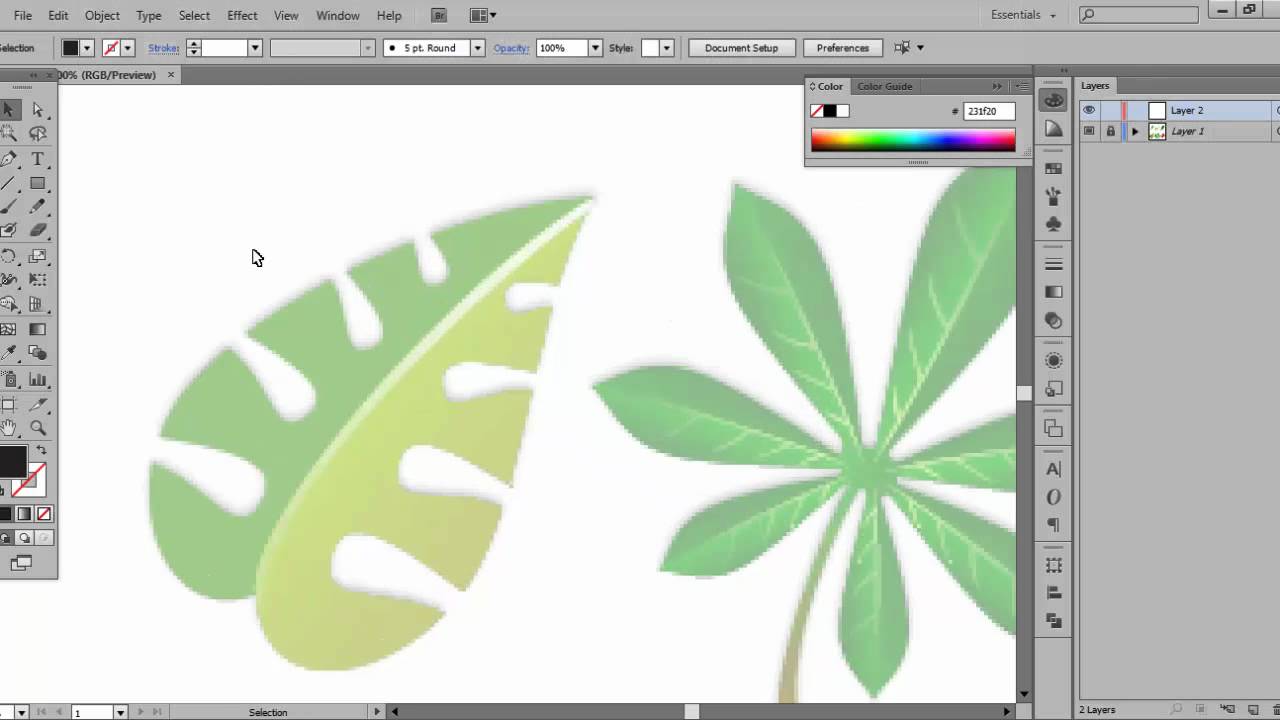 Adobe Illustrator - Pen Tool Basics