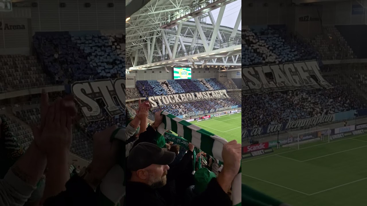 HAMMARBY - DJURGÅRDEN 2024 TIFO