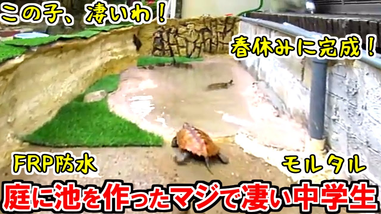 【庭池】庭に亀池を作った中学生がマジで凄かった！【みんなの亀さん紹介 第53回】