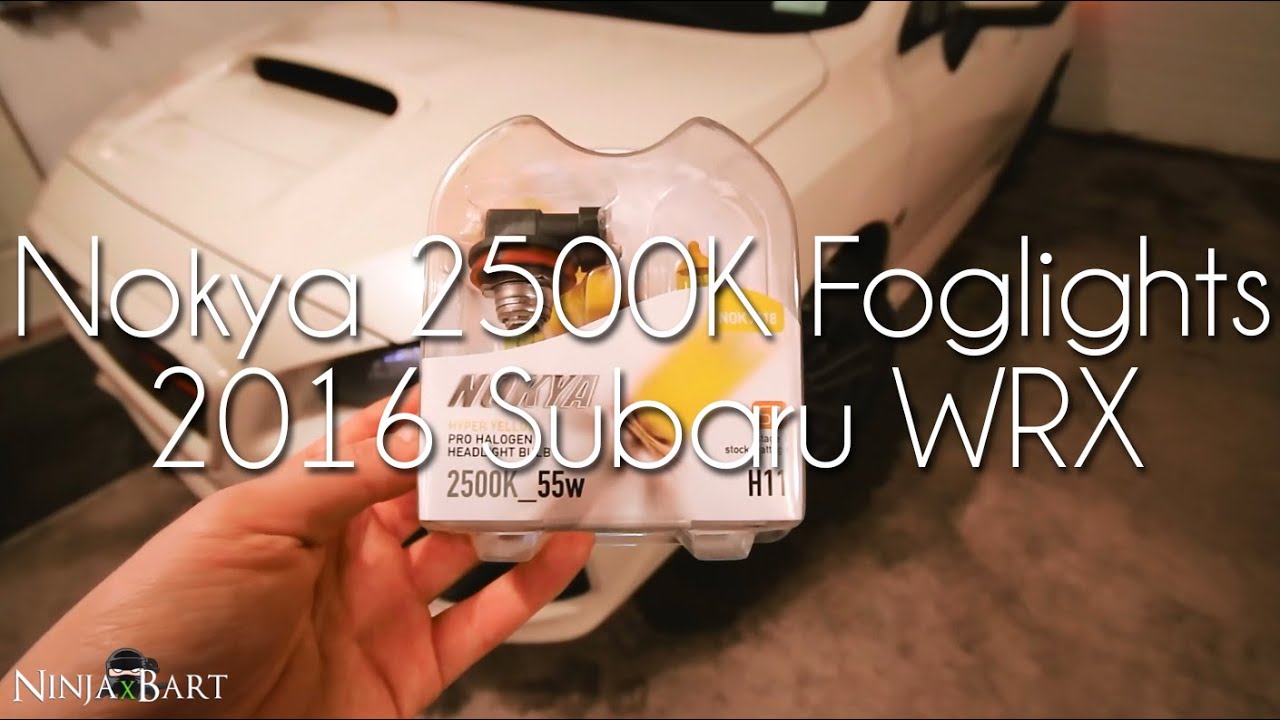 Nokya 2500K H11 Foglights (2016 Subaru WRX)