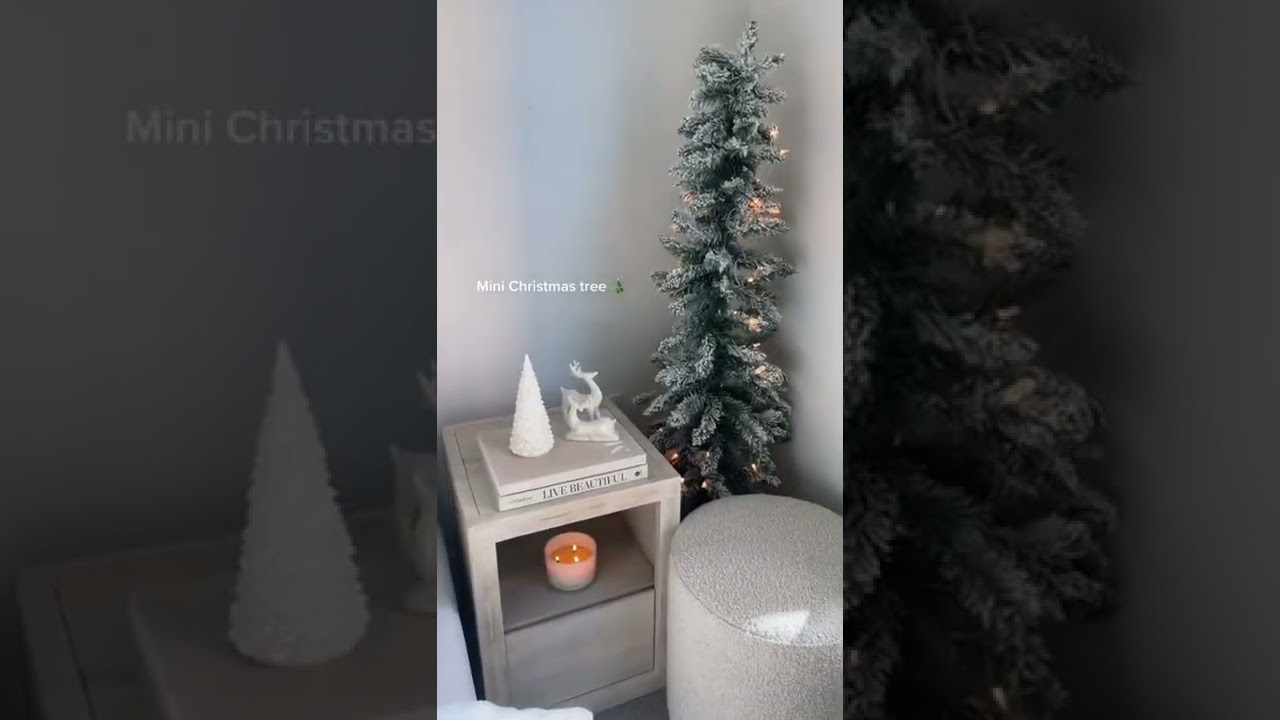 Favorite Amazon finds for the Christmas season ✨️🎅🏻🎄 #christmasseason #christmas #amazonfinds