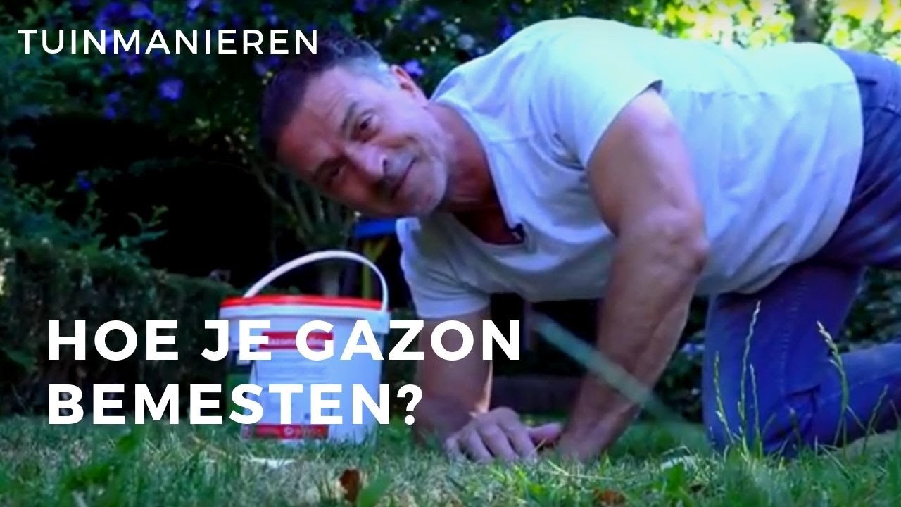 Hoe je gazon bemesten of voeden? Gazonvoeding van Tuinmanieren. Minder maaien, compacter grasgroei.