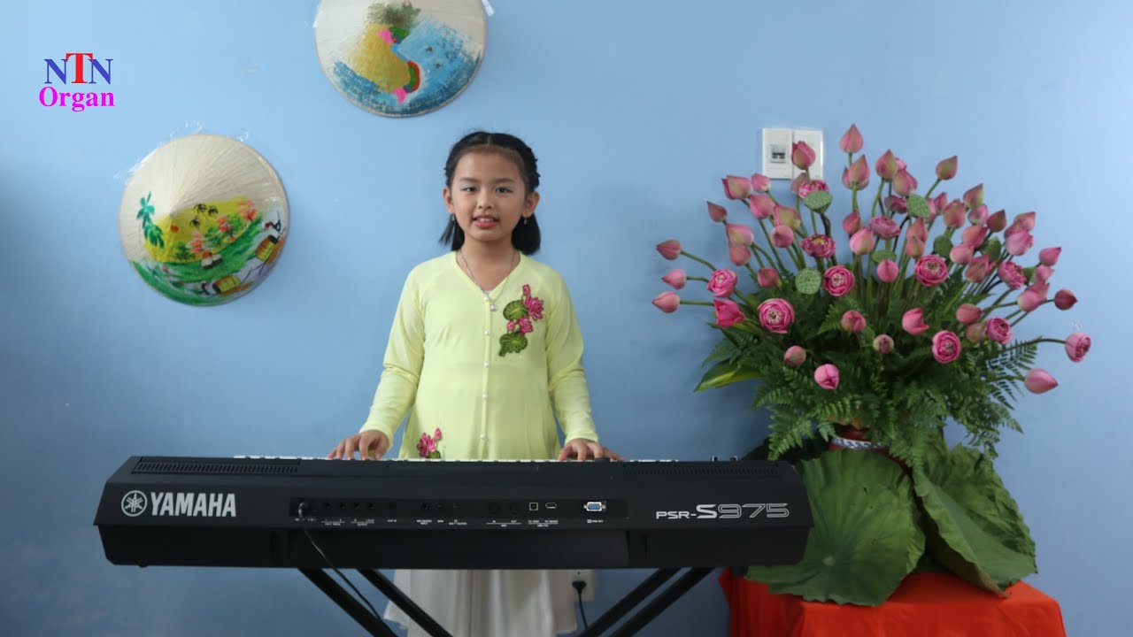 Áo Mới Cà Mau - Organ