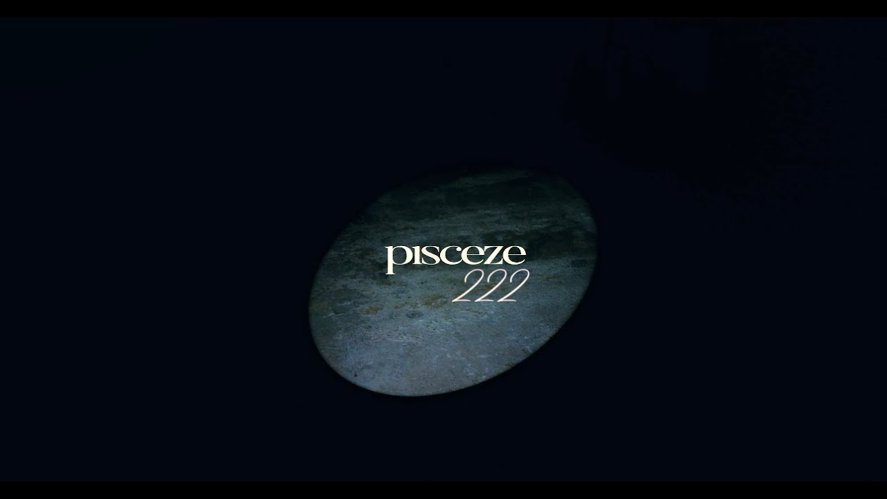 pisceze - 222 (Official Music Video)