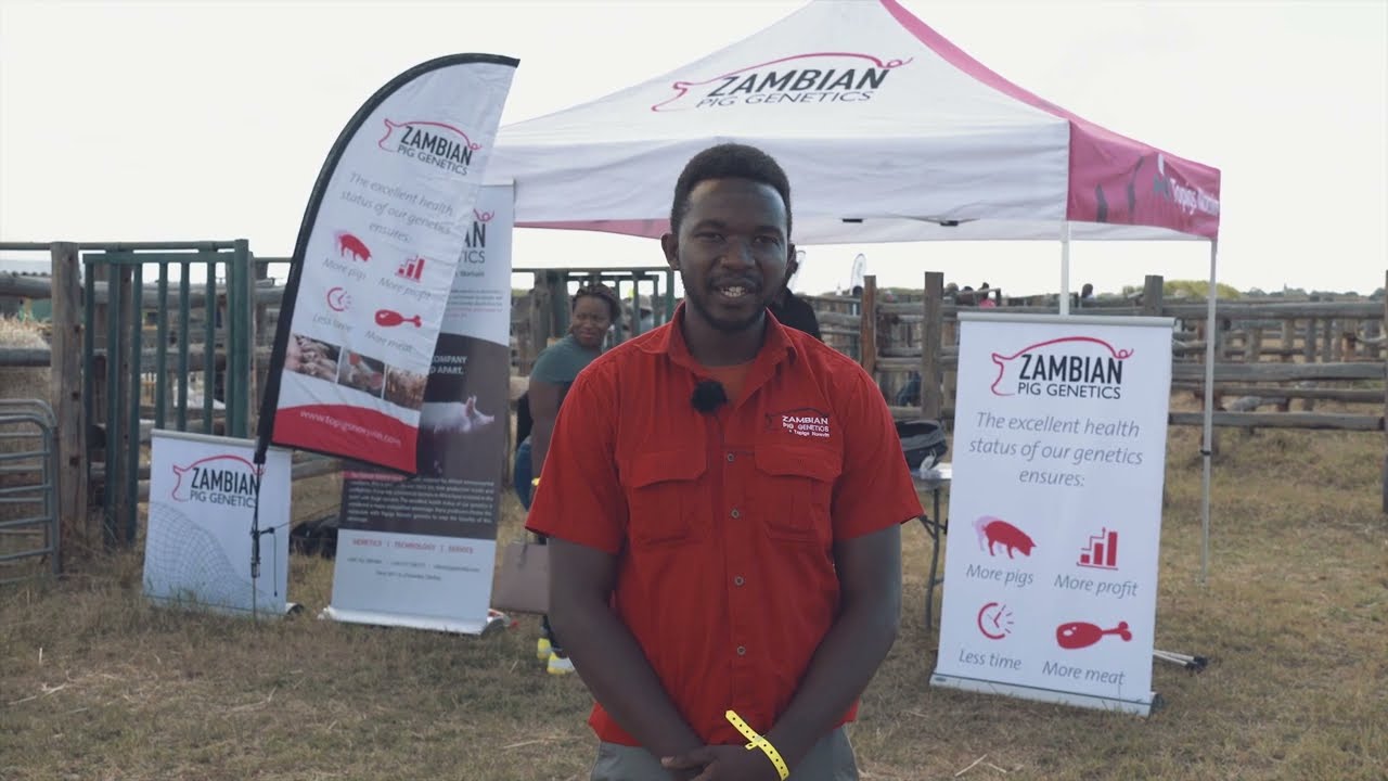 Zambian Pig Genetics showcases their business at AgriTech Zambia 2023
