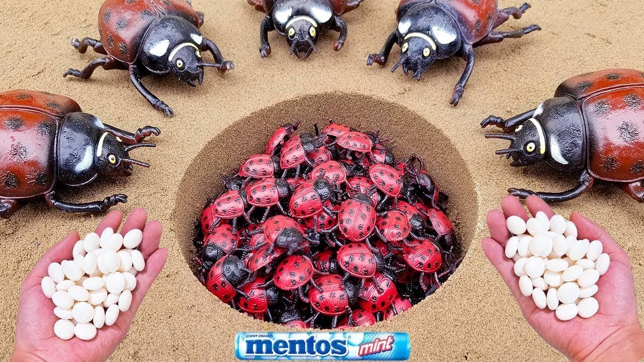 Mentos VS Coca Cola, Sprite, Monster, Fanta, different Toy insect and Mentos in underground