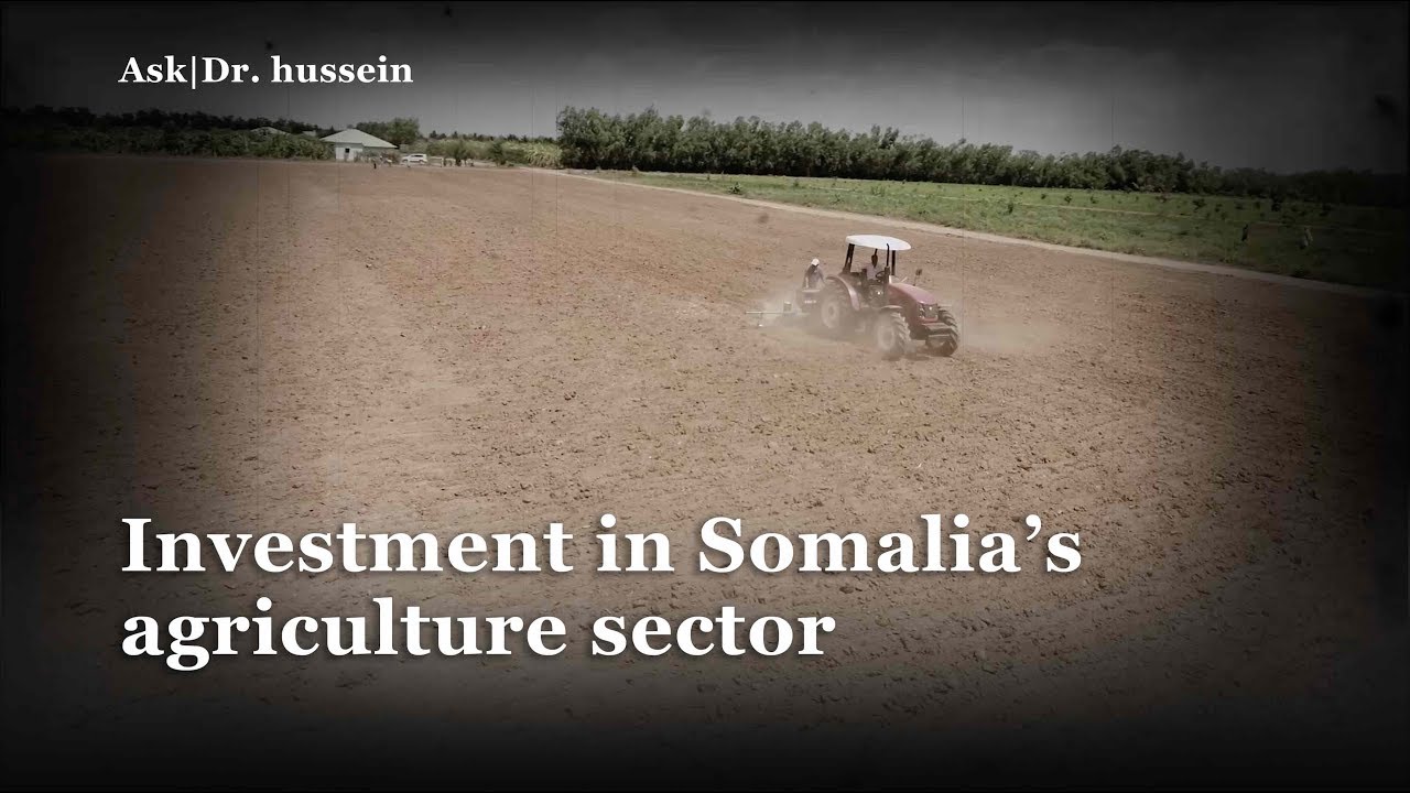 Investment in Somalia'a agriculture sector - Ask Dr. Hussein