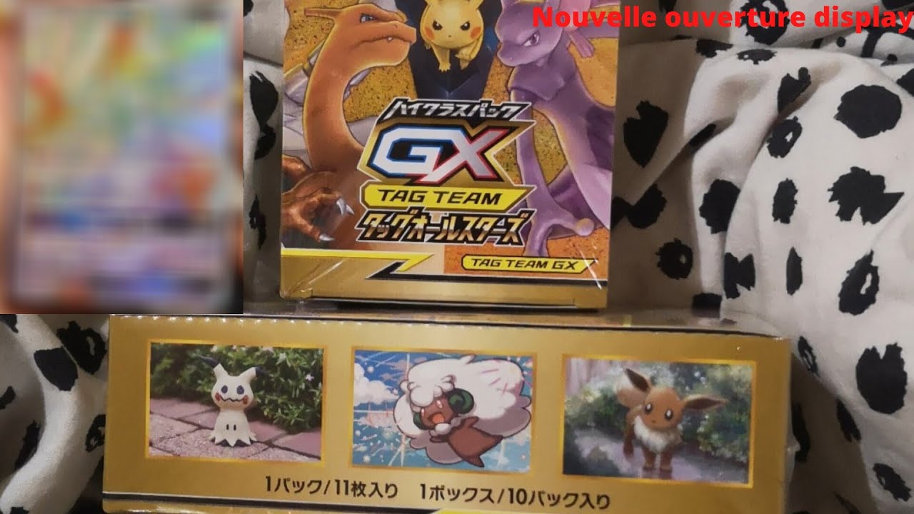 Nouvelle ouverture d'un display Tag team (En japonais SM12a)