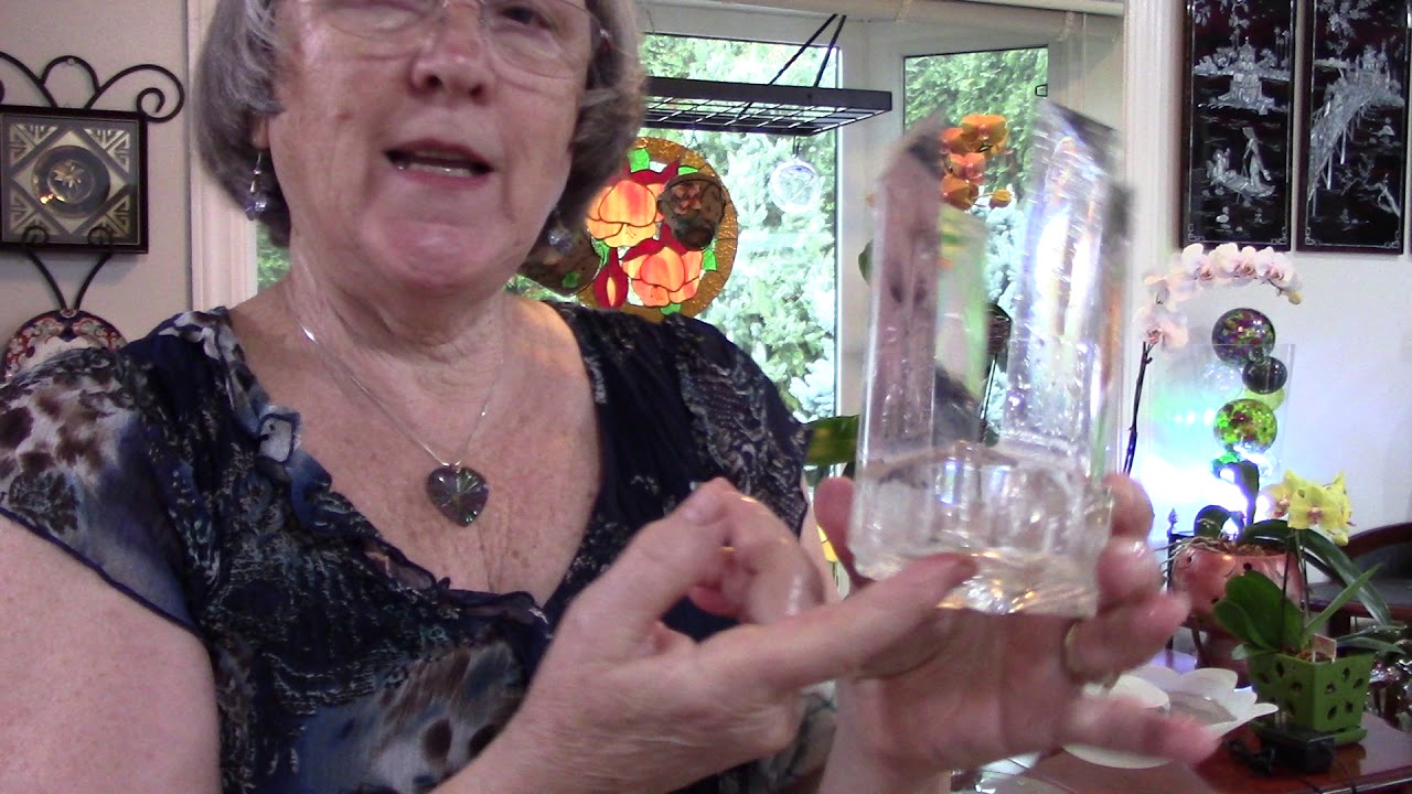 Orchids love mister fogger bowls, how to make humidity bowls, orchid update