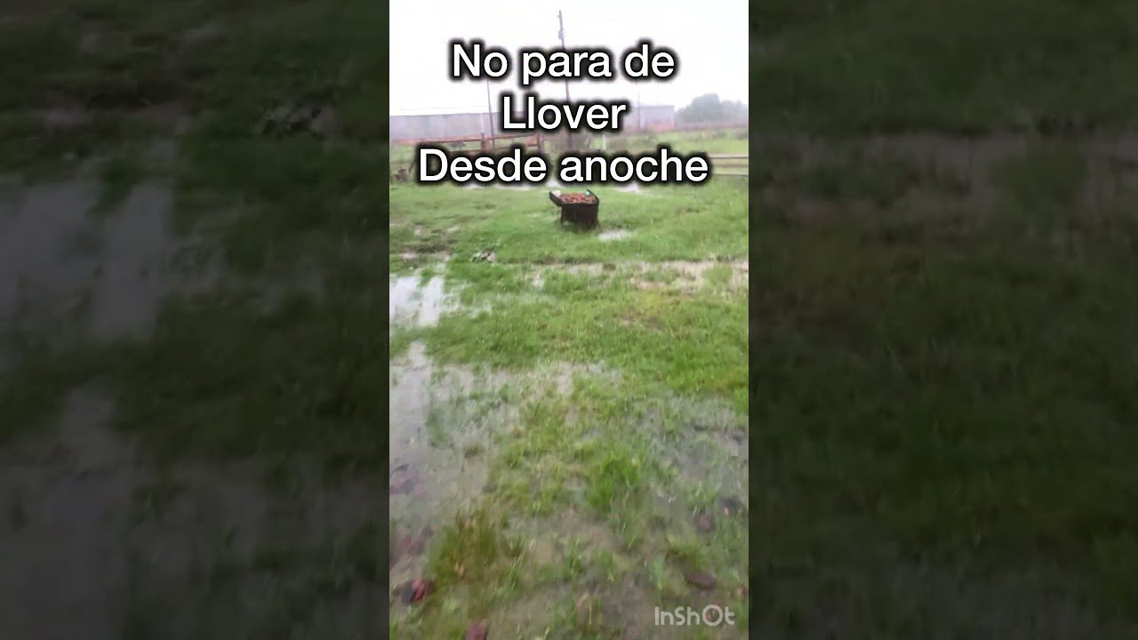 Llueve en el campo #cambiodevida #delaciudadalcampo #dejarlaciudad #campo #lluvia
