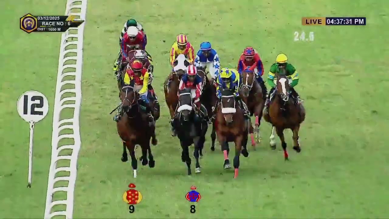 SEEKING ALPHA выигрывает премию Sangam Plate