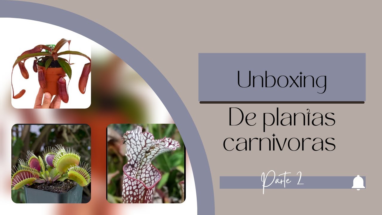 🚀 UNBOXING de PLANTAS CARNÍVORAS… ¡Son una LOCURA! 🌿💀