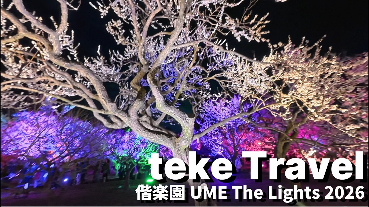 【観光】偕楽園UMETheLights2026/茨城県水戸市 幻想的な梅と竹のライトアップを鑑賞
